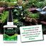 Aquascaping Pflanzenkleber 50 g Gel – haftet sofort auf Moos, Pflanzen, Wurzeln & Steinen – tropffrei, ergiebig und sicher für Süßwasseraquarien – ARKA Plantscaper