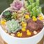 DIYDEC 120 Stück Mini Enten Harz, Gelb Mini Duck Figuren Miniatur kleine Enten für Dekoration von Miniatur-Landschaftsgärten, Bonsai, Fischbecken und Aquarien verwendet