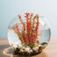Vivifying Künstliche Aquarium-Pflanzen, 2 Stück 25cm Groß Plastik-Pflanze für Fisch-Tanks