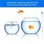 6 in 1 Aquarium Teststreifen, 100 Streifen Aquarium Test Kit zum Testen von PH Nitrit Nitrat Chlor Allgemein Karbonathärte, genaue Salzwasser, Süßwasser Aquarium Wasserprüfung