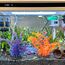 Vivifying Künstliche Aquarium Pflanzen 2 Stück, Aquarium Deko Orange & Dunkelblau, Kunststoff Wasserpflanzen für Miniteich & Fischbecken, 25cm Deko Pflanzen