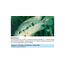 sera med Professional Protazol 100 ml - Arzneimittel für Fische gegen einzellige Hautparasiten wie Ichthyophthirius multifiliis, Medizin fürs Aquarium