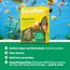 abrazo CeraKlar Aquarium Scheibenreiniger - 4 Scheibenreiniger Aquarium Glasreiniger, 2x2 Stk. - kratzfreier Algenentferner für Süßwasseraquarien