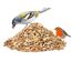 Paul´s Mühle Wildvogelfutter, Vogelfutter ideal für Brutzeit und Aufzucht, Phönix, 5 kg
