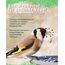 Futterbauer 25 kg Schwarze Sonnenblumenkerne im Papiersack für Vögel, 100% Natur, Hochwertige Energiequelle für Wildvögel, Hoher Fett- & Vitamin-E-Gehalt, Gereinigt & Getrocknet mit Schale, Ernte 2025