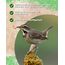 Futterbauer 10kg Soldatenfliegenlarven getrocknet, Premium Vogelfutter, Fischfutter, Futter für Reptilien und Nager, Proteinreiches Naturfutter wie Mehlwürmer