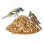 Paul´s Mühle Premium Ganzjahresfutter für Wildvögel mit extra hohem Fettanteil, Vogelfutter zur Ganzjahresfütterung, Senkrechtstarter, 5 kg