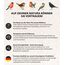 Dehner Natura Premium Wildvogelfutter, Streufutter, Ganzjahresfutter proteinreich / energiereich, hochwertiges Vogelfutter für Wildvögel, 20 kg