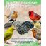 Futterbauer 25 kg Schwarze Sonnenblumenkerne im Papiersack für Vögel, 100% Natur, Hochwertige Energiequelle für Wildvögel, Hoher Fett- & Vitamin-E-Gehalt, Gereinigt & Getrocknet mit Schale, Ernte 2025