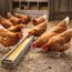 deuka VOMIGO Legemehl 25 kg Alleinfutter gegen die Rote Vogelmilbe