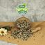 Lyra Pet® 25 kg Sonnenblumenkerne Mix | Geschälte & ungeschälte Kerne | Fettreiches Vogelfutter für Wildvögel | Nährstoffreiches Wildvogelfutter | Energiespendendes Streufutter für Vögel