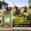 25 kg Premium Hühnerfutter und Kükenfutter, Legemehl Plus mit Oregano - Geflügelfutter für Hühner, Gänse, Enten