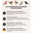 Dehner Natura Premium Wildvogelfutter, Rosinen Delikatesse, Futterrosinen, Ganzjahresfutter energiereich, hochwertiges Vogelfutter für Wildvögel, 2 kg