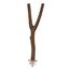Trixie 5876 Natural Living Sitzstange, Y~Form, 20 cm/ø 15 mm