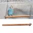 Natur Sitzstangen Set für Vögel, Stehend Vogelkäfig Zubehör, Sitzstangen für Vogelkäfige, Sitzstangen für Wellensittiche, Wellensittich Zubehör, für Wellensittich Kanarienvogel, 4 Stück