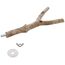 Trixie 5876 Natural Living Sitzstange, Y~Form, 20 cm/ø 15 mm (Packung mit 2)