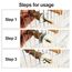 Natur Sitzstangen Set für Vögel, Stehend Vogelkäfig Zubehör, Sitzstangen für Vogelkäfige, Sitzstangen für Wellensittiche, Wellensittich Zubehör, für Wellensittich Kanarienvogel, 4 Stück