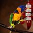 LIUYIDM 3 Stück Große Vogel Kauspielzeug, Vogelschnabel-Schleifstein mit Glocke, Mineralstein-Backenzahn-Spielzeug mit Glocke, Kauspielzeug für Papageien, für Kakadu, Sittich, Wellensittich