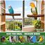 VGECEE 5 Stück Vogelspielzeug Holz Natur Sitzstangen Wellensittich Sitzstangen Naturholz Vogel Sitzstangen Spielzeug Vogelständer aus Holz Vogelkäfig Zubehör für Wellensittich Kanarienvogel