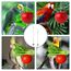 2 Stück Vogelspieß Papageienspieß Futterspender,Wellensittich Zubehör,Spielzeug,Vogel,Vogelspielzeug,Futterkrippe,für Hühnerspielzeug,Edelstahl,Hühnergemüsespieß,Vogelgemüsespieß,Futtersuchspielzeug