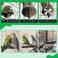 VGECEE 8 Stück Vogelspielzeug Holz Natur Sitzstangen Wellensittich Sitzstangen Naturholz Vogel Sitzstangen Spielzeug Vogelständer aus Holz Vogelkäfig Zubehör ür Wellensittich Kanarienvogel