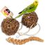 Vogelgaleria® Kolbenhirse gefüllte Weidenkugel 2er Pack - handgefertigt in Deutschland - Erstaunlicher Spielspaß für glückliche und aktive Wellensittiche