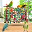 Vogelspielzeug und Vogelfutterspielzeug für Sittiche, Nymphensittiche
