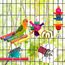 Vogelspielzeug für Sittiche, mit bunter Leiter, Hängematte, Vogelkäfig, Ständer, Kauspielzeug, hängende Glocke für Sittiche, Nymphensittiche