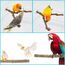 Allazone 9 Stück Naturholz Sitzstangen Set für Vögel, Papagei Schaukel Spielzeug, Vogelkäfig Zubehör
