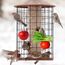 4 Stück Vogelspieß Papageienspieß Futterspender,Wellensittich Zubehör,Spielzeug,Vogel,Vogelspielzeug,Futterkrippe,für Hühnerspielzeug,Edelstahl,Hühnergemüsespieß,Vogelgemüsespieß,Futtersuchspielzeug