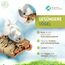 Vogelgaleria® 3 x Kork-Pickstein für Vögel. Die leckere Alternative zum Kalkstein oder Sepia-Schale, Wellensittich Zubehör
