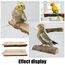 Allazone 9 Stück Naturholz Sitzstangen Set für Vögel, Papagei Schaukel Spielzeug, Vogelkäfig Zubehör