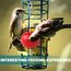 4 Stück Vogelspieß Papageienspieß Futterspender,Wellensittich Zubehör,Spielzeug,Vogel,Vogelspielzeug,Futterkrippe,für Hühnerspielzeug,Edelstahl,Hühnergemüsespieß,Vogelgemüsespieß,Futtersuchspielzeug