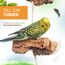 Vogelgaleria® Kork Knabberseil - das perfekte Wellensittich Spielzeug und Vogelzubehör zum Klettern und Nagen | Vogelspielzeug