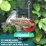 4 Stück Vogelspieß Papageienspieß Futterspender,Wellensittich Zubehör,Spielzeug,Vogel,Vogelspielzeug,Futterkrippe,für Hühnerspielzeug,Edelstahl,Hühnergemüsespieß,Vogelgemüsespieß,Futtersuchspielzeug
