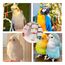LIUYIDM 3 Stück Große Vogel Kauspielzeug, Vogelschnabel-Schleifstein mit Glocke, Mineralstein-Backenzahn-Spielzeug mit Glocke, Kauspielzeug für Papageien, für Kakadu, Sittich, Wellensittich