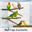4 Stück Natur Sitzstangen Set für Vögel, Naturholzstangen Vogelständer Vogelzubehör sitzstangen für Wellensittich, Kanarienvogel, Nymphensittich, Vogelzubehör im Vogelkäfig
