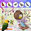 Vogelspielzeug, ERKOON Nymphensittich Futter Wellensittich Spielzeug Bird Feeder Toy for Parakeets Papagei Kauspielzeug,Vögel Am Käfig Installieren Können für Alle Papageien & Vogel (L)