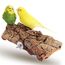 Vogelgaleria® Tolles Korksitzbrett groß für Vögel | Wellensittich Kork Sitzbrett 20x10 cm als perfektes Zubehör im Käfig | Kork Rinde ist EIN großartiges Spielzeug für Nymphensittich und Papagei