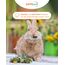 petifool Nager Flora 430g - Alleinfutter für Nager - natürliches Nagerfutter für Kaninchen und Meerschweinchen - ohne künstliche Zusätze - 100% Natur - artgerechtes Futter - Kräuter und Luzerne