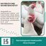 HS Spot on Bird – Pflegemittel für Vögel und Geflügel zur Vorbeugung gegen rote Vogelmilben, nordische Geflügelmilben, Federlinge, Kalkbeine etc. – 100 ml