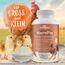 Ida Plus MineralPlus – Zusatzfutter für Hühner - Premium Mineralien für Hühner - Mineralstoffe für Hühner & Vitaminmischung für Hühner - Rundumversorgung - MineralPlus mit Kalzium für Hühner 280 g