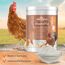 Ida Plus - MineralPlus - Futterkalk für Hühner - Premium MineralPlus - Mineralstoffe für Hühner & Vitaminmischung - Rundumversorgung - MineralPlus mit Kalzium - 1 kg