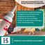 HS Spot on Bird – Pflegemittel für Vögel und Geflügel zur Vorbeugung gegen rote Vogelmilben, nordische Geflügelmilben, Federlinge, Kalkbeine etc. – 100 ml