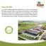 JR FARM Kleinnager-Sand Spezial 350g (Packung mit 2)