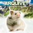 Arquivet 8435117803022 – Baumwolle für Hamsters weiß 30 gr