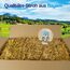 Gebrüder Goller - 10kg Strohballen - für Kaninchen, Meerschweinchen, Hamster und Hasen, auch geeignet als Deko-Stroh, Ballen Direkt aus Bayern