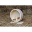 Karlie Wonderland Bogie Wheel Laufrad ø: 20 cm