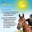EQUITOP Pronutrin Magenschutz Pellets für Pferde 3,5 kg