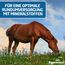 Eggersmann Mein Pferdefutter Golden Mineral 25 kg – Mineralfutter für Pferde & Ponys – Nährstoffreiches Pferdefutter zur optimalen Rundumversorgung – Zur Ergänzung des Grundfutters